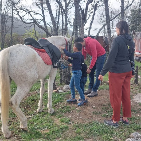 Rutas a caballo Equinarea Educa Sierra Madrid