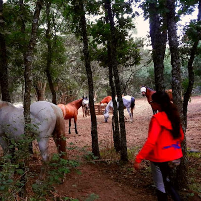 Voluntariado terapias caballos Equinarea Educa