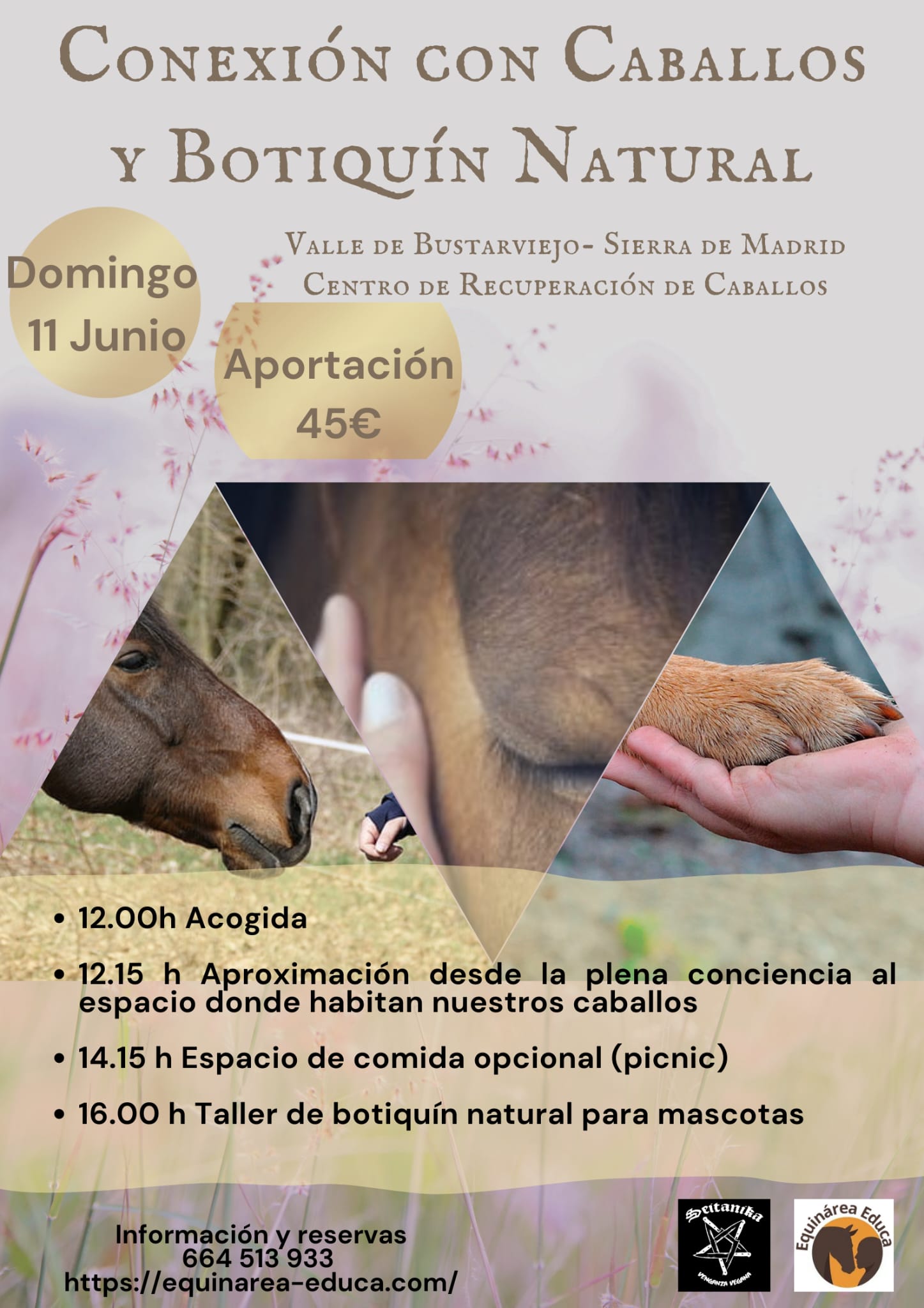 Taller Conexión con caballos y botiquín natural - Valle de Bustarviejo, Sierra de Madrid - Domingo 11 de Junio 2023