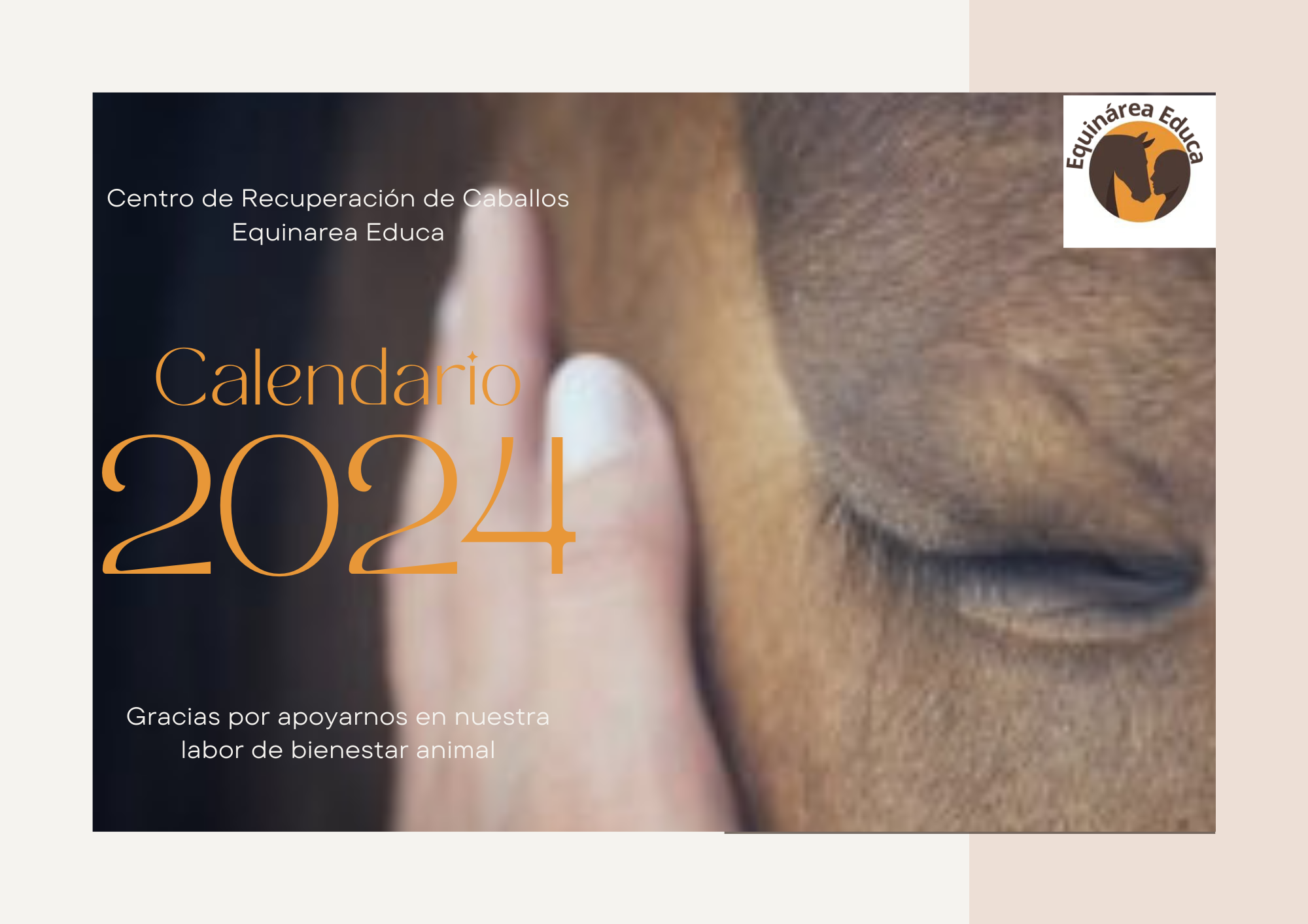 Calendario solidario de caballos 2024 - Equinarea Educa